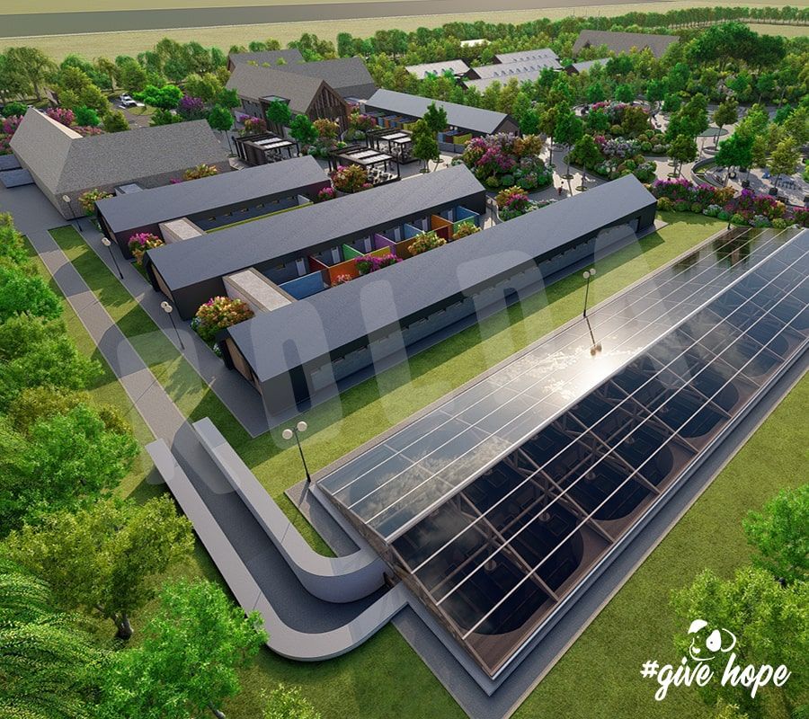 Întrebări Frecvente